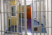 Insolite : Brève cavale Insolite : Brève cavale