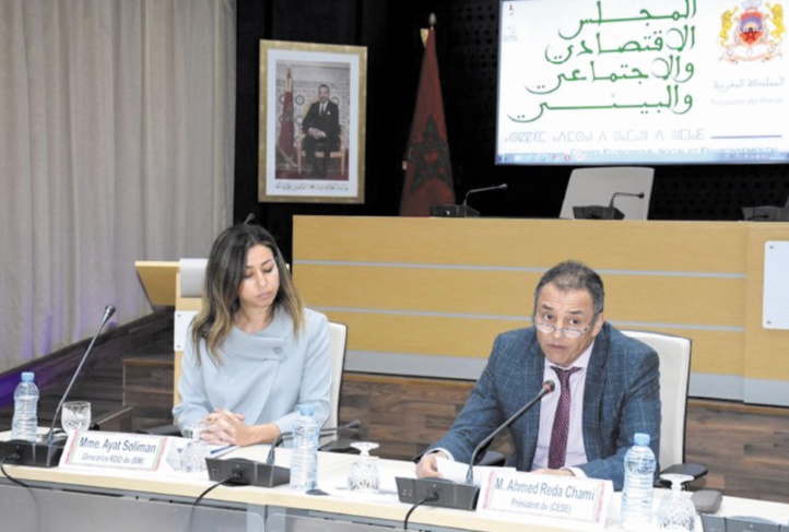 Le CESE appelle au renforcement des mécanismes participatifs Le CESE appelle au renforcement des mécanismes participatifs