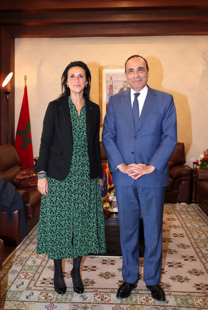 Habib El Malki reçoit la vice-présidente de la commission du développement  du Parlement européen Habib El Malki reçoit la vice-présidente de la commission du développement  du Parlement européen
