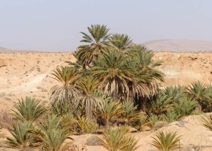A Tata, l’éducation environnementale passe avant tout par celle des enseignants A Tata, l’éducation environnementale passe avant tout par celle des enseignants