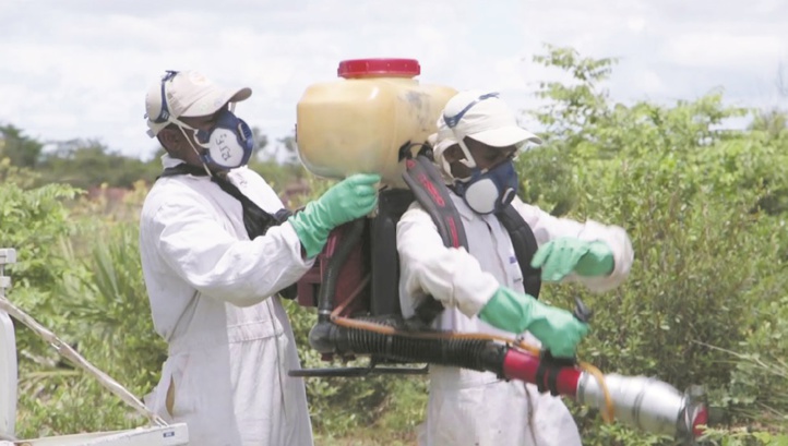 Le danger acridien se précise à nos frontières Le danger acridien se précise à nos frontières