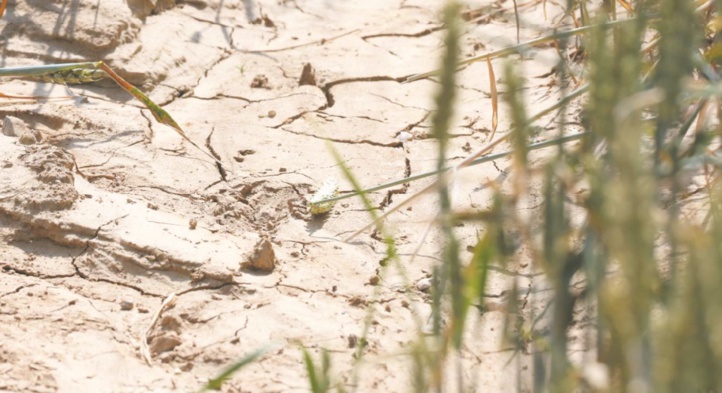 La grosse galère des petits agriculteurs La grosse galère des petits agriculteurs