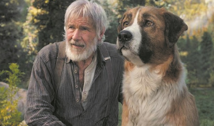 “Sonic” talonné par “L'Appel de la forêt” en tête du box-office “Sonic” talonné par “L'Appel de la forêt” en tête du box-office