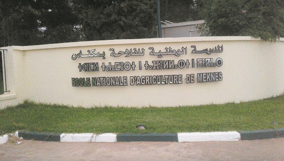 Le 13ème Forum de l’ENAM dédié à la digitalisation de l'agriculture marocaine Le 13ème Forum de l’ENAM dédié à la digitalisation de l'agriculture marocaine