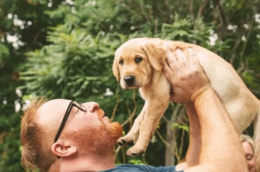 Insolite : Chien cloné