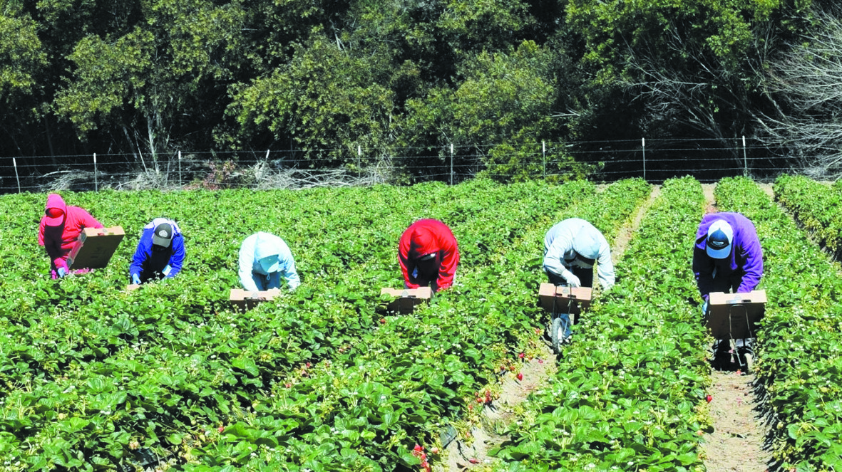 La femme marocaine marginalisée  sur le marché du travail