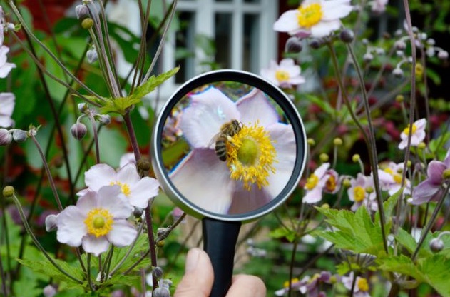 Biodiversité: Petit à petit, un plan se dessine pour 2050