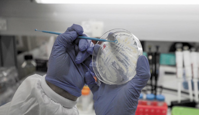 Bras de fer germano-américain autour d'un vaccin Bras de fer germano-américain autour d'un vaccin