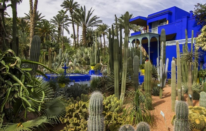 La Fondation Jardin Majorelle adhère aux efforts visant la lutte contre le Coronavirus La Fondation Jardin Majorelle adhère aux efforts visant la lutte contre le Coronavirus