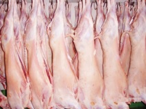 Des viandes contaminées en circulation à Casablanca : Alerte à l’ammoniac Des viandes contaminées en circulation à Casablanca : Alerte à l’ammoniac