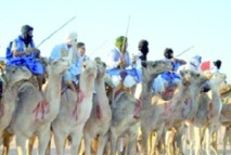 Smara : Course de dromadaires Smara : Course de dromadaires