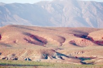 Le déclin du Jbel Ayachi : Les moutons marocains sabotent une montagne Le déclin du Jbel Ayachi : Les moutons marocains sabotent une montagne