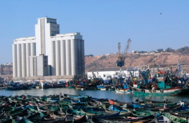 Reprise progressive des activités de pêche à Safi