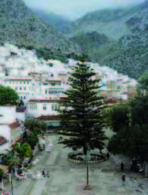 Festival national de la poésie marocaine moderne: L’expérience créative de Mohamed Mimouni célébrée à Chefchaouen