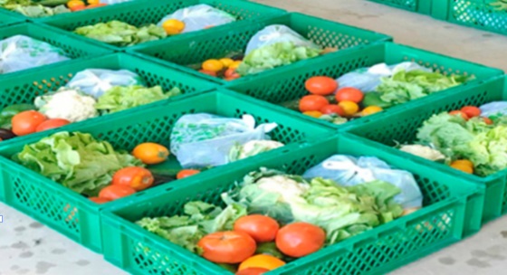 Des paniers de légumes livrés à domicile à Agadir Des paniers de légumes livrés à domicile à Agadir