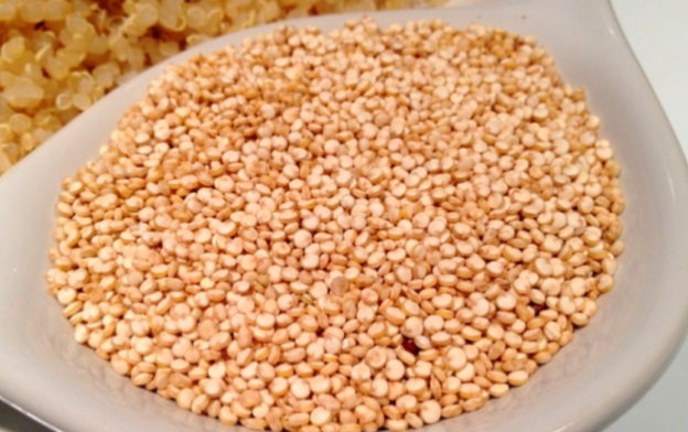 L’OCP contribue au développement de la filière du quinoa dans les provinces de Rehamna et de Youssoufia