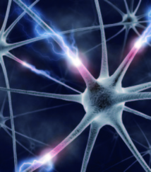 Une mutation génétique protégerait d'Alzheimer Une mutation génétique protégerait d'Alzheimer