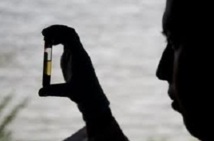 Paludisme : décodage du génome de parasites très coriaces Paludisme : décodage du génome de parasites très coriaces
