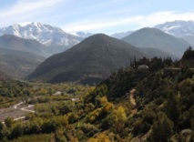 Feu de forêt à El Haouz