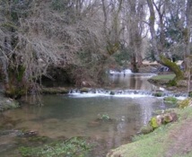 Ifrane : Forte croissance du secteur touristique