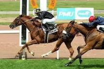 Le café des chevaux arnaques Le café des chevaux arnaques