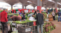 ​661 infractions commises en matière de prix des  produits alimentaires depuis le début du Ramadan