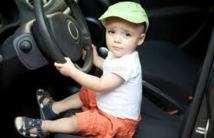 Insolite Insolite