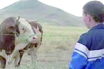 Le film de Hassan Legzouli au Festival international du cinéma de Saint Sébastien : “Le veau d'or” présenté dans la section “Cinéma en mouvement” Le film de Hassan Legzouli au Festival international du cinéma de Saint Sébastien : “Le veau d'or” présenté dans la section “Cinéma en mouvement”