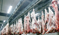 Les abattoirs de Casablanca certifiés ISO 22000 pour la troisième fois consécutive Les abattoirs de Casablanca certifiés ISO 22000 pour la troisième fois consécutive