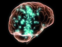 Quand la neuroscience écrit la musique des émotions Quand la neuroscience écrit la musique des émotions
