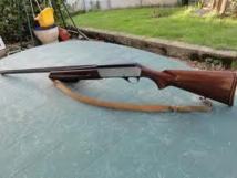 Chasse : interdiction des armes tirant plus de trois coups successifs Chasse : interdiction des armes tirant plus de trois coups successifs