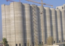 Le blé, l’orge, les pois chiches et les petits pois concassés concernés : Trop chères céréales et légumineuses ! Le blé, l’orge, les pois chiches et les petits pois concassés concernés : Trop chères céréales et légumineuses !