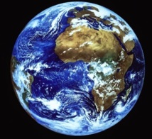 La masse des organismes vivants sur Terre inférieure d'un tiers aux prévisions La masse des organismes vivants sur Terre inférieure d'un tiers aux prévisions