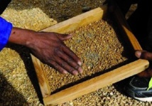 Afrique du Sud: ils risquent leur vie pour quelques diamants Afrique du Sud: ils risquent leur vie pour quelques diamants