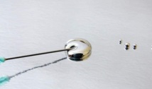 Des nano-poils pour détecter le mercure Des nano-poils pour détecter le mercure
