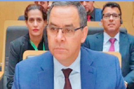 ​Rabat plaide pour la création d'une plateforme africaine de lutte contre les épidémies