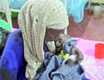 Comment vaincre les famines ? Comment vaincre les famines ?