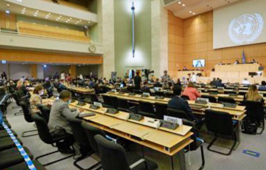 Ferme soutien à l'intégrité territoriale du Maroc devant le CDH