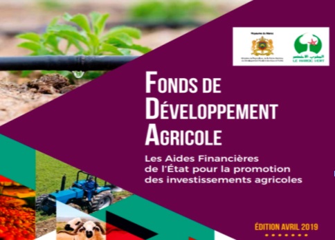 Hausse des subventions accordées aux agriculteurs de la région du Gharb en 2019 Hausse des subventions accordées aux agriculteurs de la région du Gharb en 2019