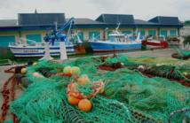 Pêche et aquaculture: comment nourrir les hommes en sauvant les poissons ? Pêche et aquaculture: comment nourrir les hommes en sauvant les poissons ?