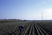 Banque européenne d’investissement Prêts en faveur de l’irrigation et des technopoles