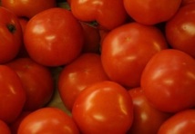 La tomate efficace pour diminuer le risque d’attaque cérébrale