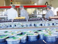 ​Appel à transformer le marché agricole  marocain en un marché du pull