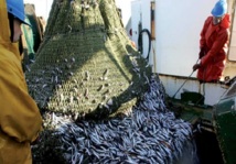 L’Union européenne et le Maroc reprennent leurs négociations : Nouvel accord de pêche en perspective L’Union européenne et le Maroc reprennent leurs négociations : Nouvel accord de pêche en perspective