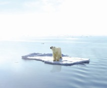 Réchauffement climatique : Des perspectives de plus en plus sombres Réchauffement climatique : Des perspectives de plus en plus sombres