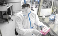 ​La hausse des cas touchés par le coronavirus perçue différemment