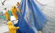 Accord de pêche Maroc-UE : Reprise des négociations à Rabat