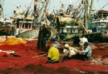 Négociations de pêche entre Rabat et l'UE : Le premier round dévoile les divergences des parties Négociations de pêche entre Rabat et l'UE : Le premier round dévoile les divergences des parties