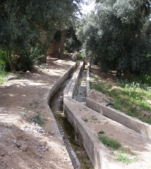 A cause de la surexploitation de la nappe phréatique : Prémices d’une pénurie d’eau dans les régions oasiennes A cause de la surexploitation de la nappe phréatique : Prémices d’une pénurie d’eau dans les régions oasiennes