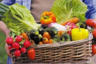 Les prix des légumes poursuivent leur baisse
